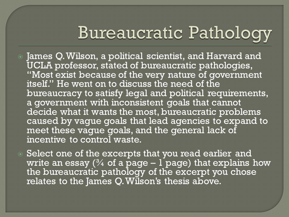 Problems bureaucracy essays